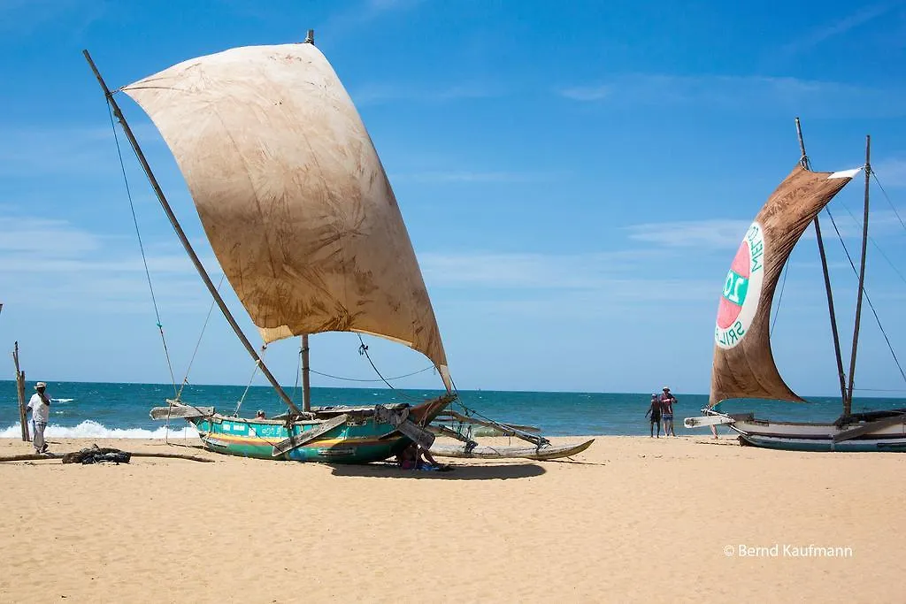 Suriya Arana Bed & Breakfast Negombo